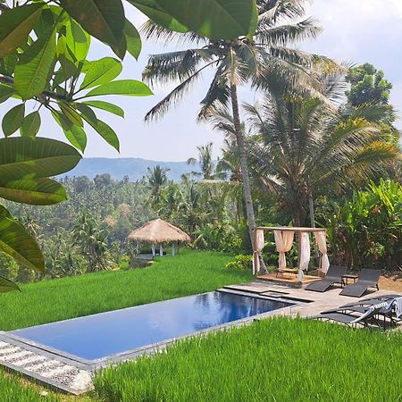 Bali De Pardis Cottage มุนดุก ภายนอก รูปภาพ