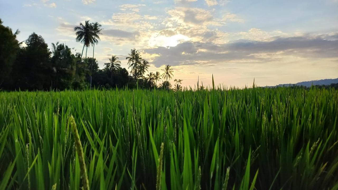 Bali De Pardis Cottage มุนดุก ภายนอก รูปภาพ