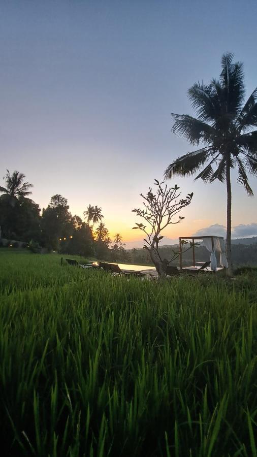 Bali De Pardis Cottage มุนดุก ภายนอก รูปภาพ