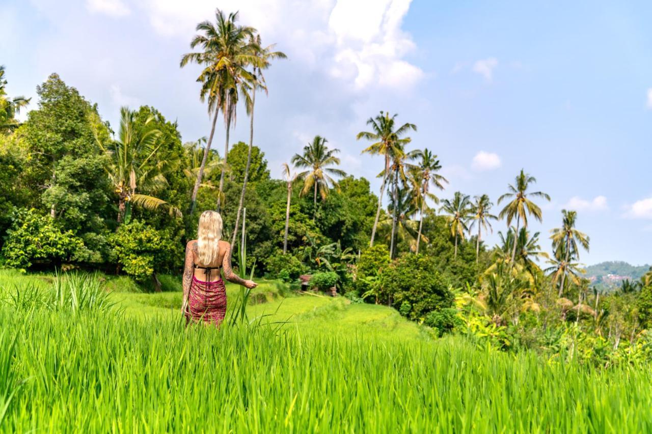 Bali De Pardis Cottage มุนดุก ภายนอก รูปภาพ